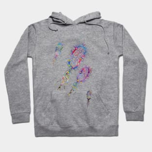 Escherichia coli Hoodie